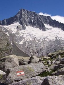 Il Monte Adamello @ Malga Bedole - Val di Genova