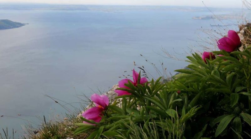 Panorama sul Garda dalla Cima Comer