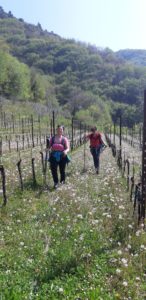 Alla scoperta della zona agricola di Tremosine @ Tremosine