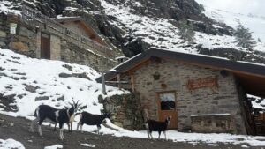 Escursioni nel Parco dello Stelvio @ Brescia | Lombardia | Italia